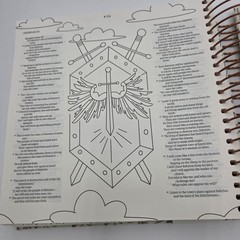 NLT Bible DaySpring Inspire Illustrating Bible With Filament App Spiral Bound