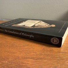 The Consolation of Philosophy by Boethius: David Slavitt Paperback 175 Pages