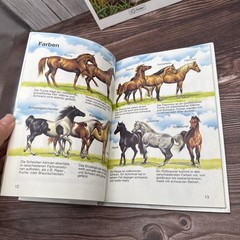 2 German Childrens Books HC Animals Horses Pony Jungle Tiger Fisher Reader Lot