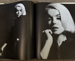 The Last Sitting Bert Stern – Marilyn Monroe 1982 William Morrow & Company