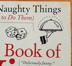 The Book of Vice Very Naughty Things and How to do Them by Peter Sagal PB 2008