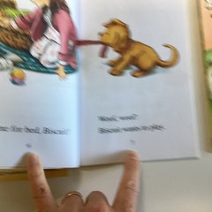 Biscuit Dog My First I Can Read Readers Kindergarten 1st Picture 12 Book Lot