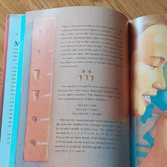 The History of Counting by Denise Schmandt-Besserat 1999 Hardcover Illustrated