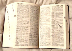 Kenkyusha’s New Collegiate English-Japanese Dict. – 4th Ed. 1977