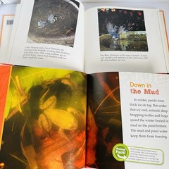 Animal Science Nature Book Lot 8 Classroom Homeschool Hibernation Baby STEM