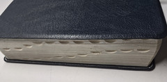 Zondervan Genuine Leather NIV Application Study Bible Navy Red Letter