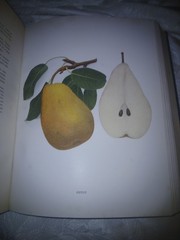 THE PEARS OF NEW YORK U.P. Hedrick 80 color plates 1921 First Ed