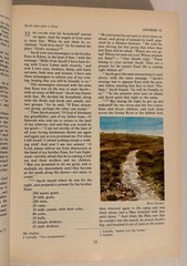 The Living Bible Holman Illustrated Edition -Paraphrased 1973 Tyndale Color pics