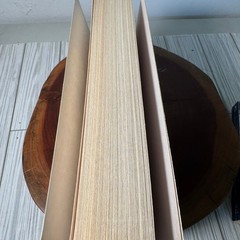 Stephen King Book Lot Everythings Eventual 1408 and Danse Macabre Paperbacks