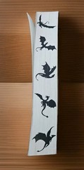 🐲 Fourth Wing 1st Printing Limited Edition Paperback Full Sprayed Dragon Edges