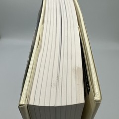 Millennium Edition The 20th Century An Illustrated History Of Our Lives & Times