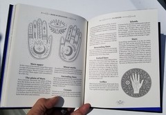 BRAND NEW 2023 BOOK DIVINATION A GUIDE TO PREDICTING FUTURE MICHAEL JOHNSTONE