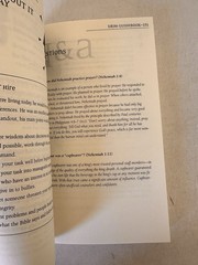 Quicknotes Bible Guidebook 2007 by Carol Smith