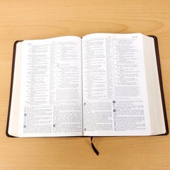 Zondervan The NIV Study Bible 10th Anniversary Edition 1995 Red Letter, Leather