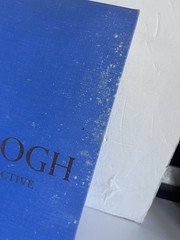 Van Gogh: A Retrospective Edited by Susan Alyson Stein 1986 Park Lane Hardcover