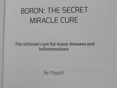 Boron The secrect miracle cure by Fly Girl 110 Pages Paperback 2nd Edition 👀*..