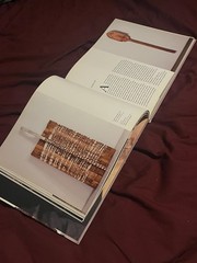Ursula von Rydingsvard: Working by Patricia C. Phillips, Prestel Verlag hc 2011