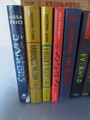 Lot of 27 Chapter Books for BOYS Young Adults Children RANDOM