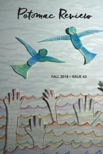 Potomac Review Issue 63 by Wang, John Wei Han, Brand New, Free shipping in th…