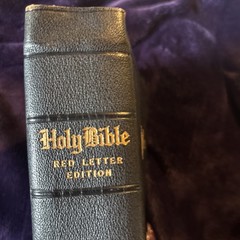 Vintage 1913 Holy Bible Red Letter Master-Art Edition The World Pub Company KJV