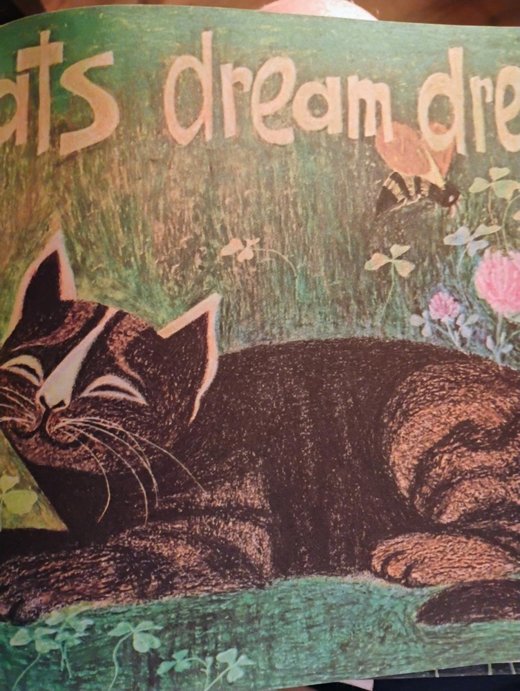 Count the cats