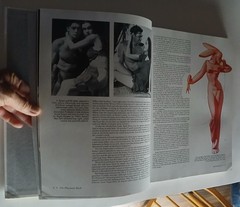 The Playmate Book: Five Decades of Centerfolds by Gretchen Edgren/Playboy 1st Ed