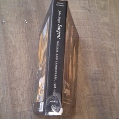 John Singer Sargent Figures and Landscapes 1908-1913 Ormond Hardcover Vol VIII