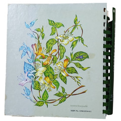 Perennials: A Southern Celebration of Foods and Flavors First Printing Vtg 1984