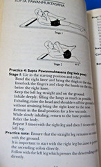 Asana Pranayama Mudra Bandha by Swami Satyananda Saraswati PB 2009