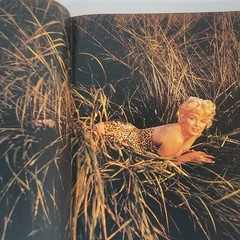 Marilyn Monroe Biography Norman Mailer Hardcover 1st Printing Vtg Hardcover Book