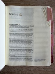 Hosanna Revival Bible New Living Translation Notetaking Wide Margins NLT