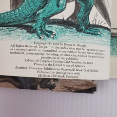 4 Book Lot Dinosaur Story Joanna Cole, Discovering Dinosaurs, Triumph of the…