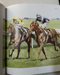 Out of the Desert -Peter Upton -Arabian Horse Book- Breeds of Britain-NEW