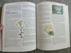 The Lost Book of Herbal Remedies – Claude Davis, Nicole Apelian Ph.D- VG