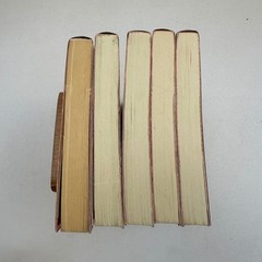 Akagawa Jiro Shimodate Keiju KADOKAWA NOVELS Mystery Suspense Set 5 Books