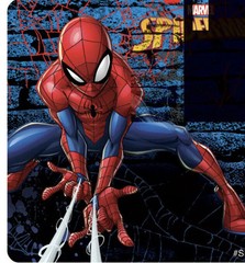 100 Smile Makers Marvel Spidey Stickers