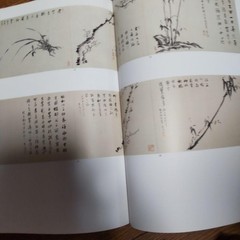 Tsujimoto Shimura Art Book 37cm x 27cm 246 Pages Limited Edition Exhibition