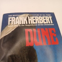 Dune, Frank Herbert, John Schoenherr Variant Art Cover, 1990 Ace, Paperback
