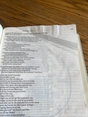 Inspire Bible Large Print NLT (Leatherlike, Multicolor. Check The Pictures