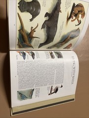 After Man:A Zoology of the Future by Dougal Dixon(1981,Hardcover)no Dust Jacket