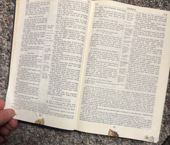 New Scofield Reference Edition Bible Hard Cover 1967 Vintage Blue