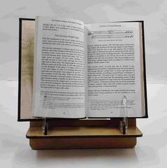 A History Of Central Banking And The Enslavement Of Mank [Premium Leather Bound]