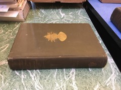 PUBLICATIONS OF THE BUREAU OF AMERICAN ETHNOLOGY 19 2 Vol HB 1900 JW Powell