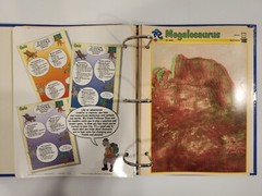Dinosaur Cards By Newfield Publication 1994. 3 Ring Binder and 83 Pages/Inserts