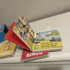 Bluey Little Library Box Set Bluey Bingo Chilli and Bandits – Pre-owned