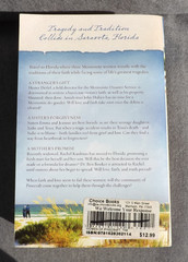 The Women of Pinecraft BOOK 3 Florida Mennonite Romances Anna Schmidt 960 Pages