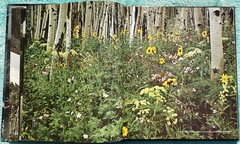 The Great Divide – The American Wilderness 1973 Time-Life Hardcover 184 Pages