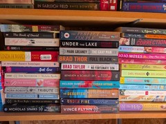 RANDOM MIX Lot of 12 Popular Fiction & Non PB Books MYSTERY/Suspense/ROMANCE