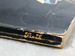 Hendrix Paperback Book by Chris Welch 1973