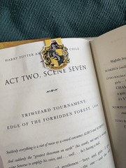 Harry Potter and the Cursed Child – Parts One & Two : The Official Script Book